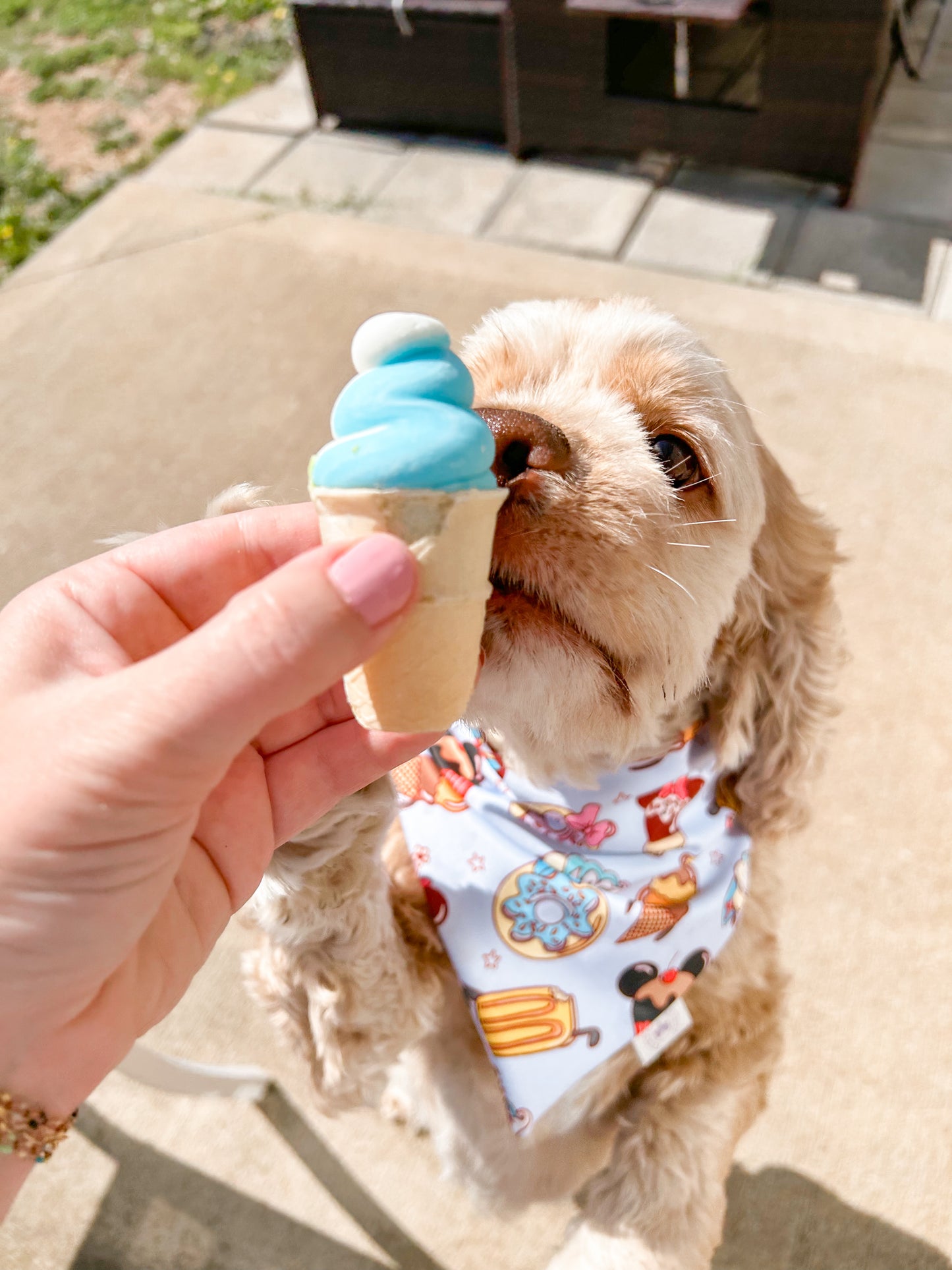 Sweet Treat Summer Bandana