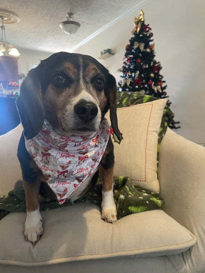 Holiday Spirits Bandana