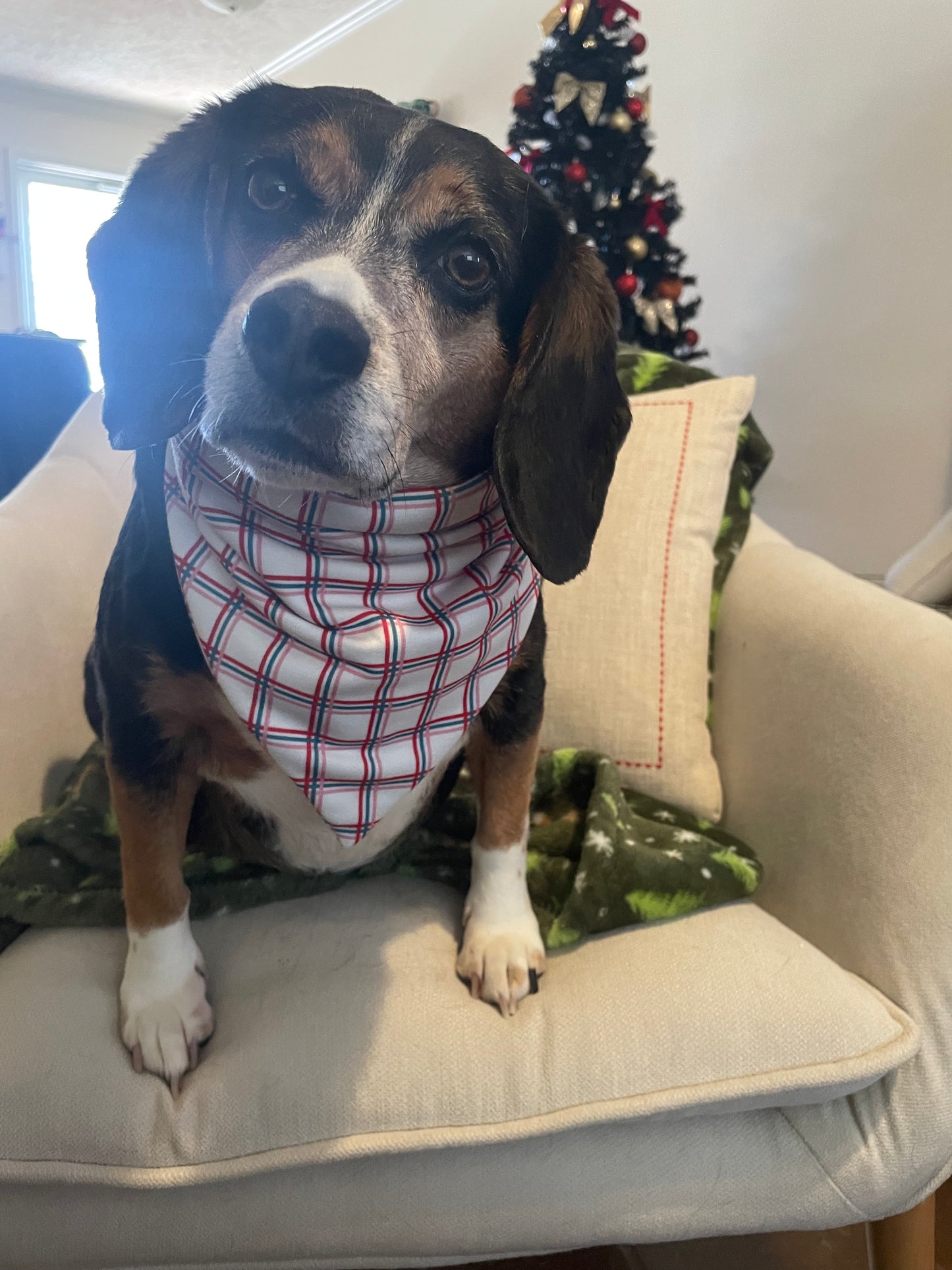 Holiday Plaid Bandana