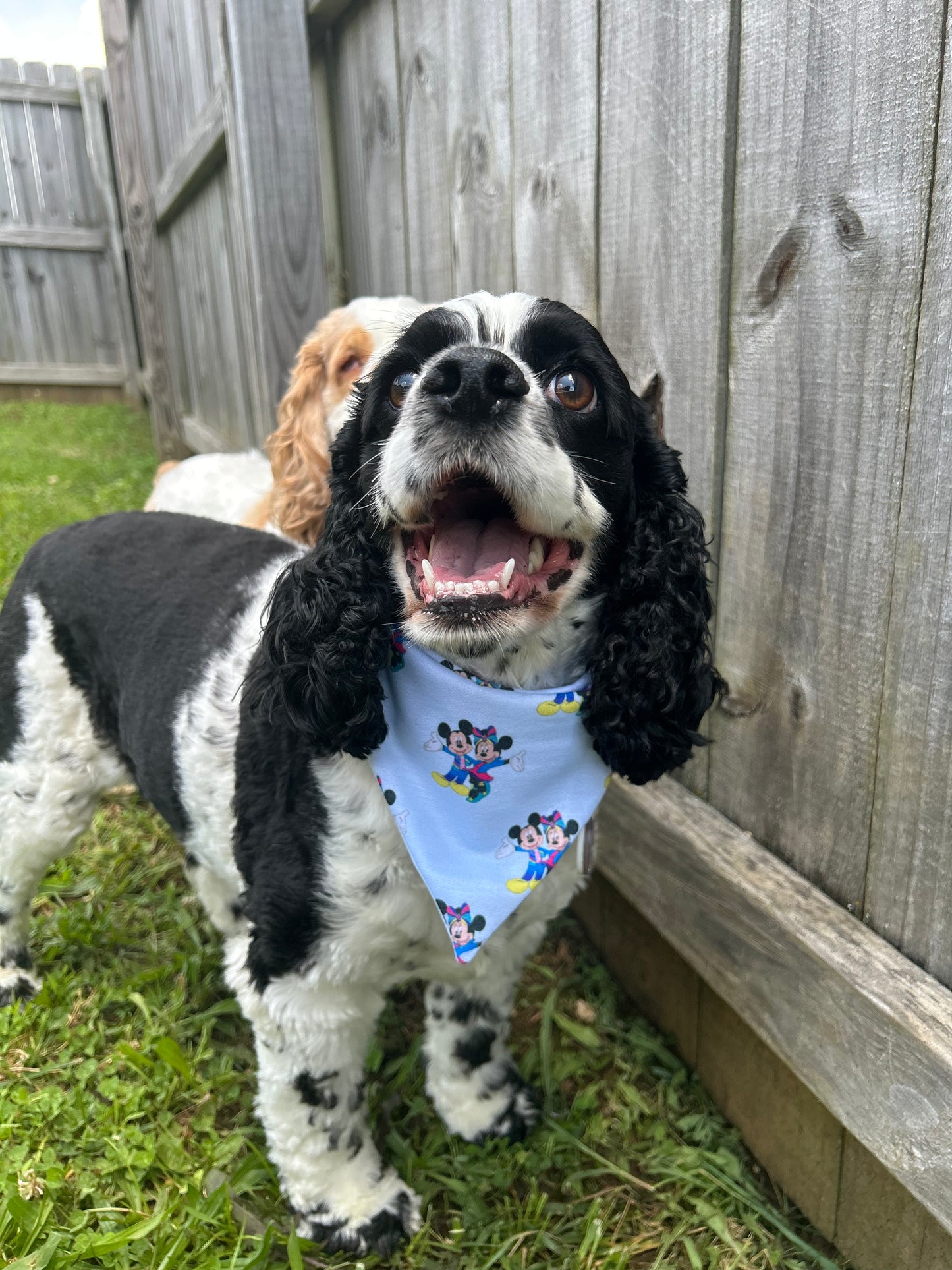 70th Anniversary Bandana