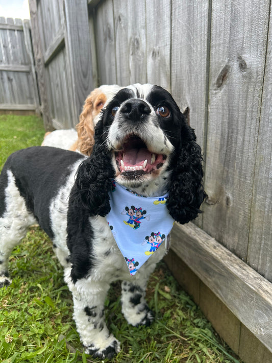 70th Anniversary Bandana