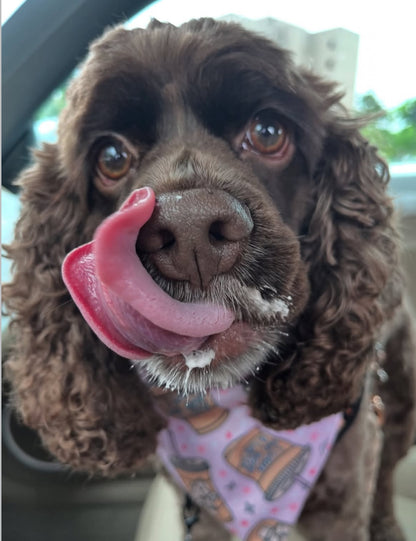 Love Mom a Latte Bandana