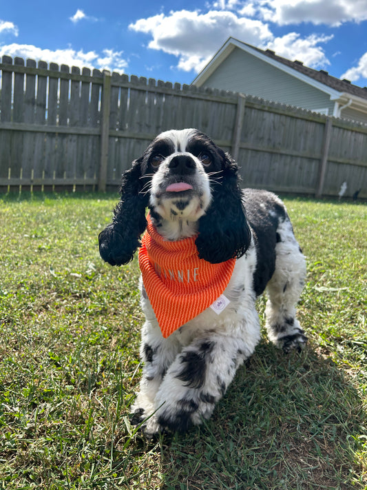 Honey Bandana