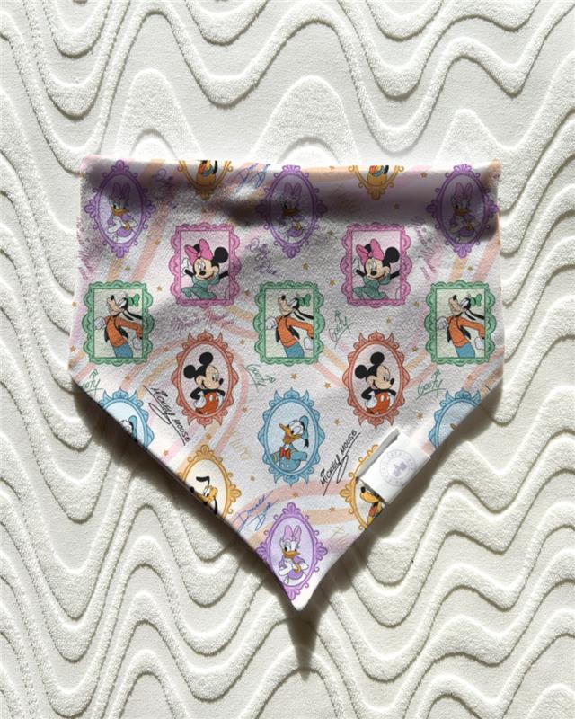 Fancy Frames Bandana