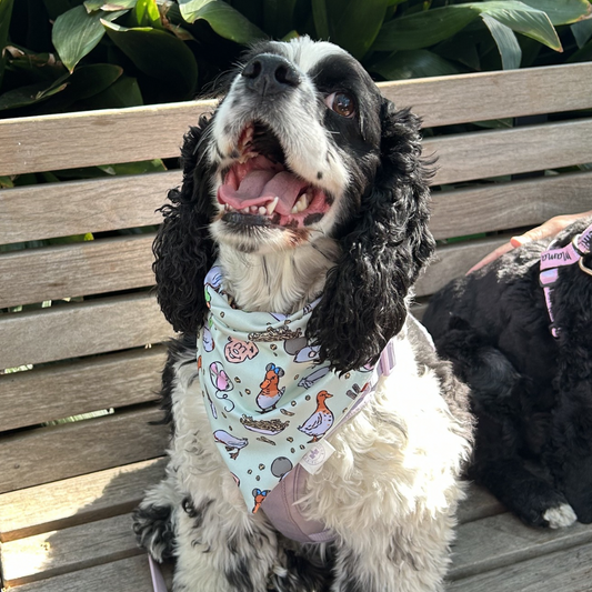 Main Street Ducks Bandana
