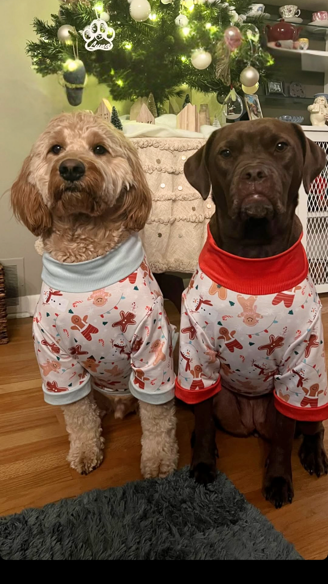 Pet Sweaters