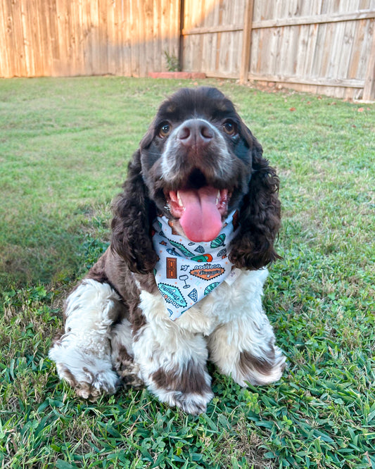 Opalite Bandana