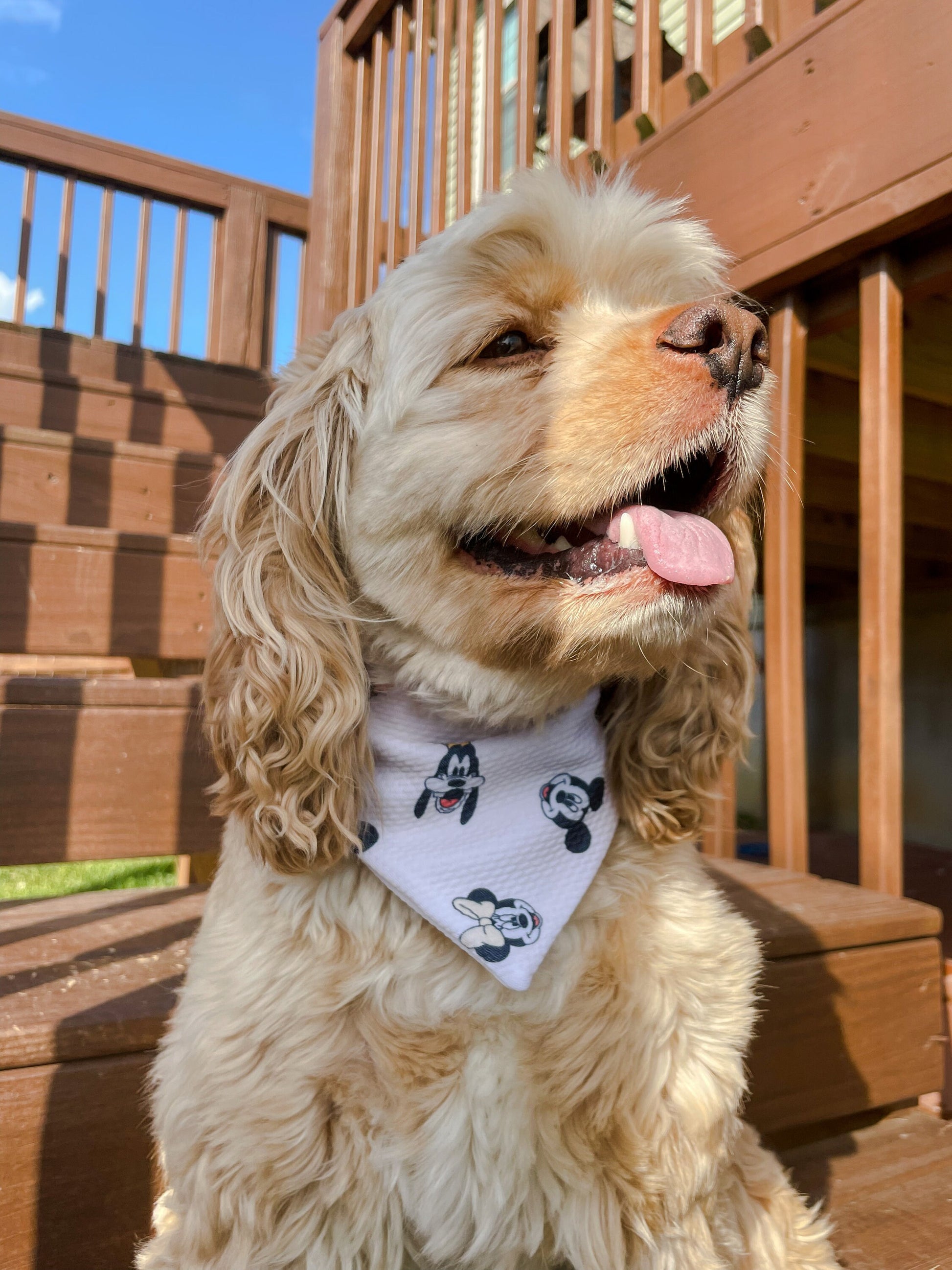 Pastel Six Bandana