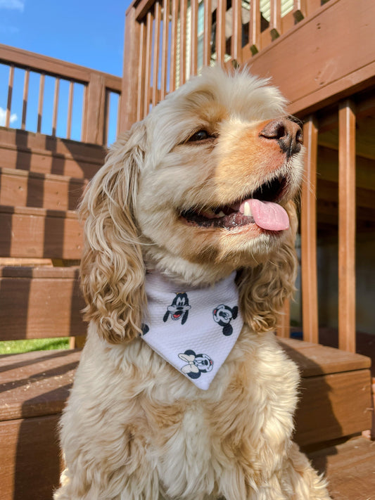 Pastel Six Bandana