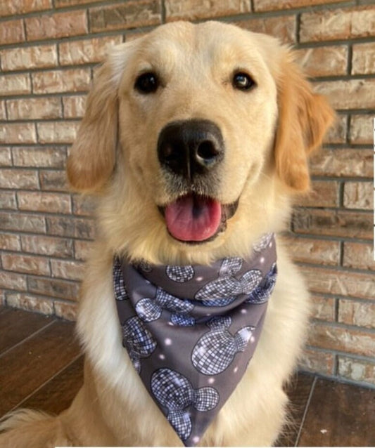 Mirrorball Mick Bandana