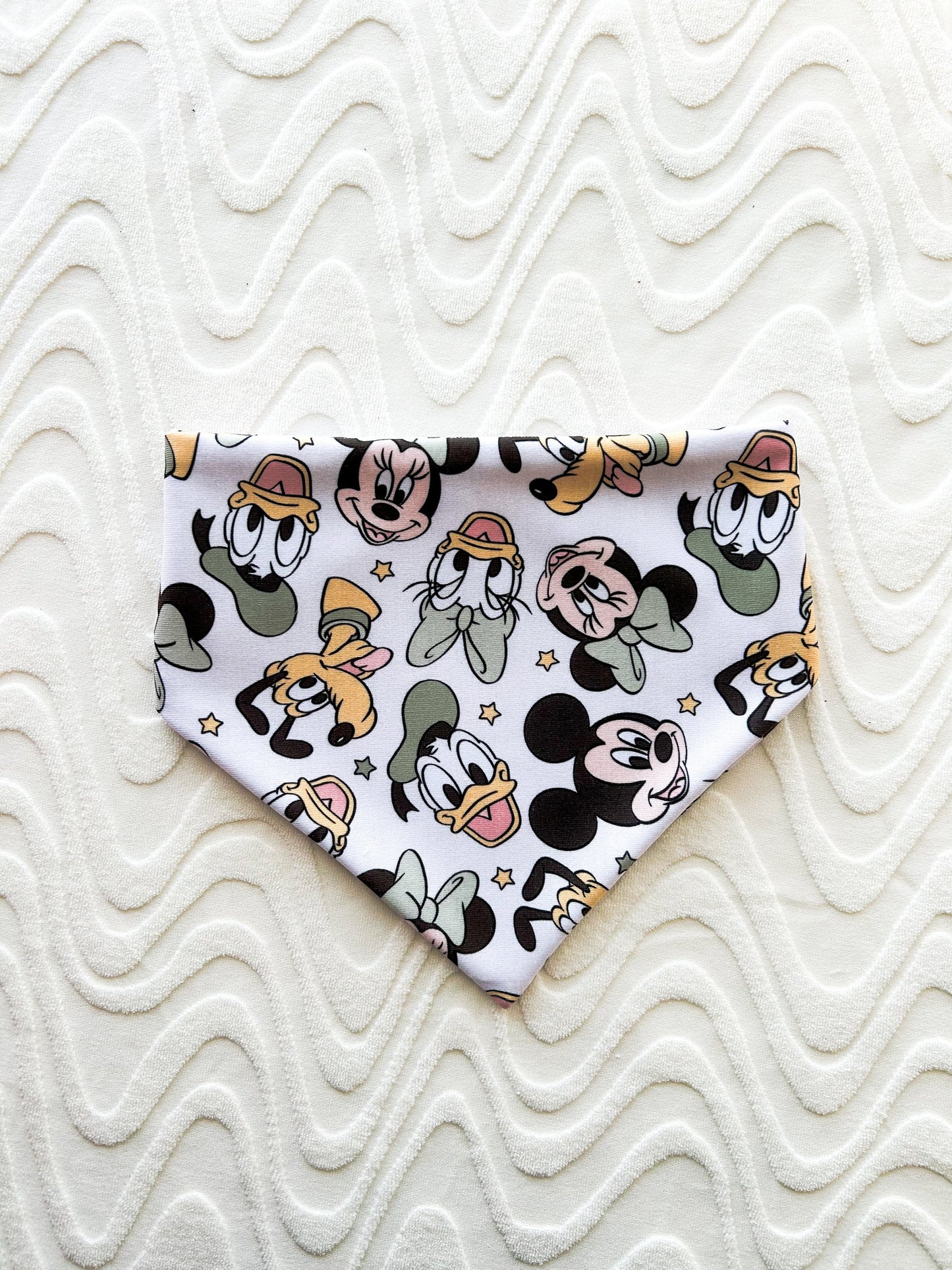 Sage Six Bandana