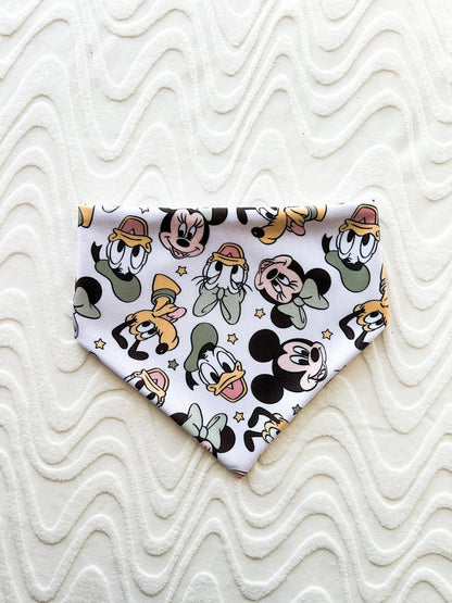 Sage Six Bandana