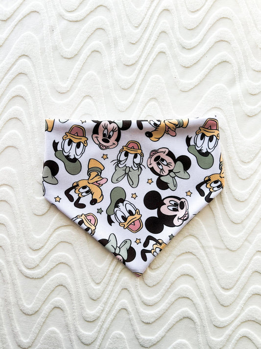 Sage Six Bandana