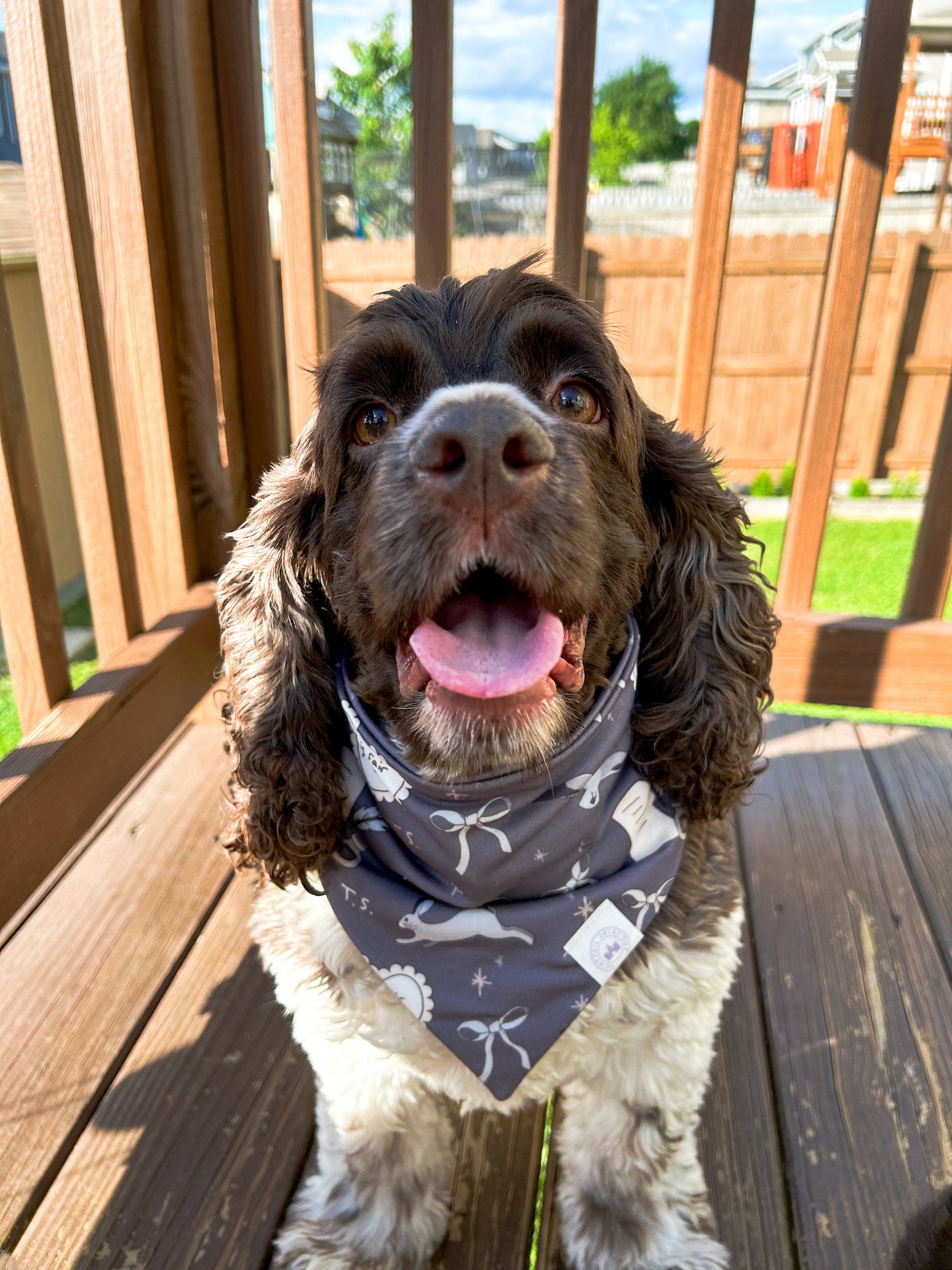The Anthology Bandana