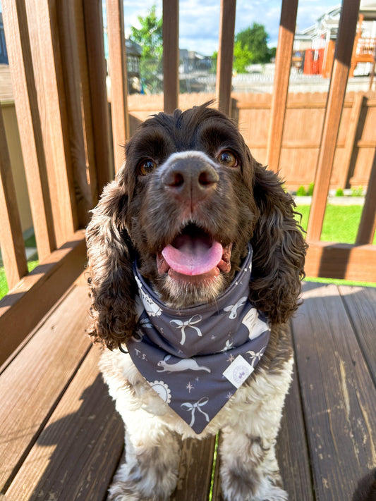 The Anthology Bandana