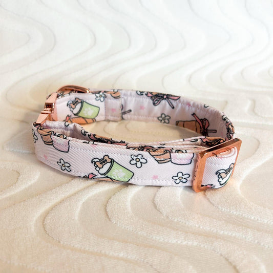 Pup Cups and Coffee Collar