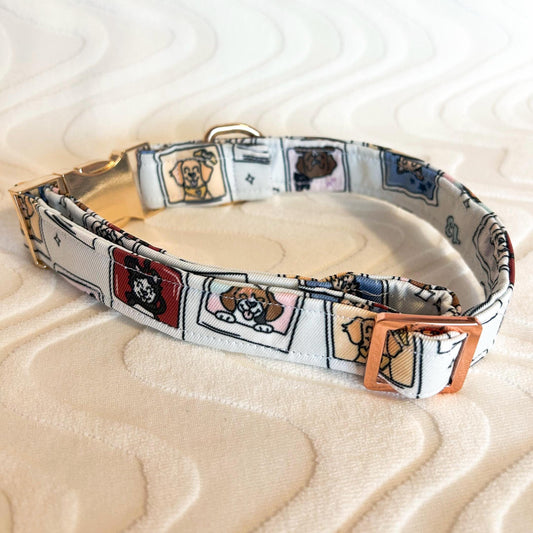 The Eras Pups Collar