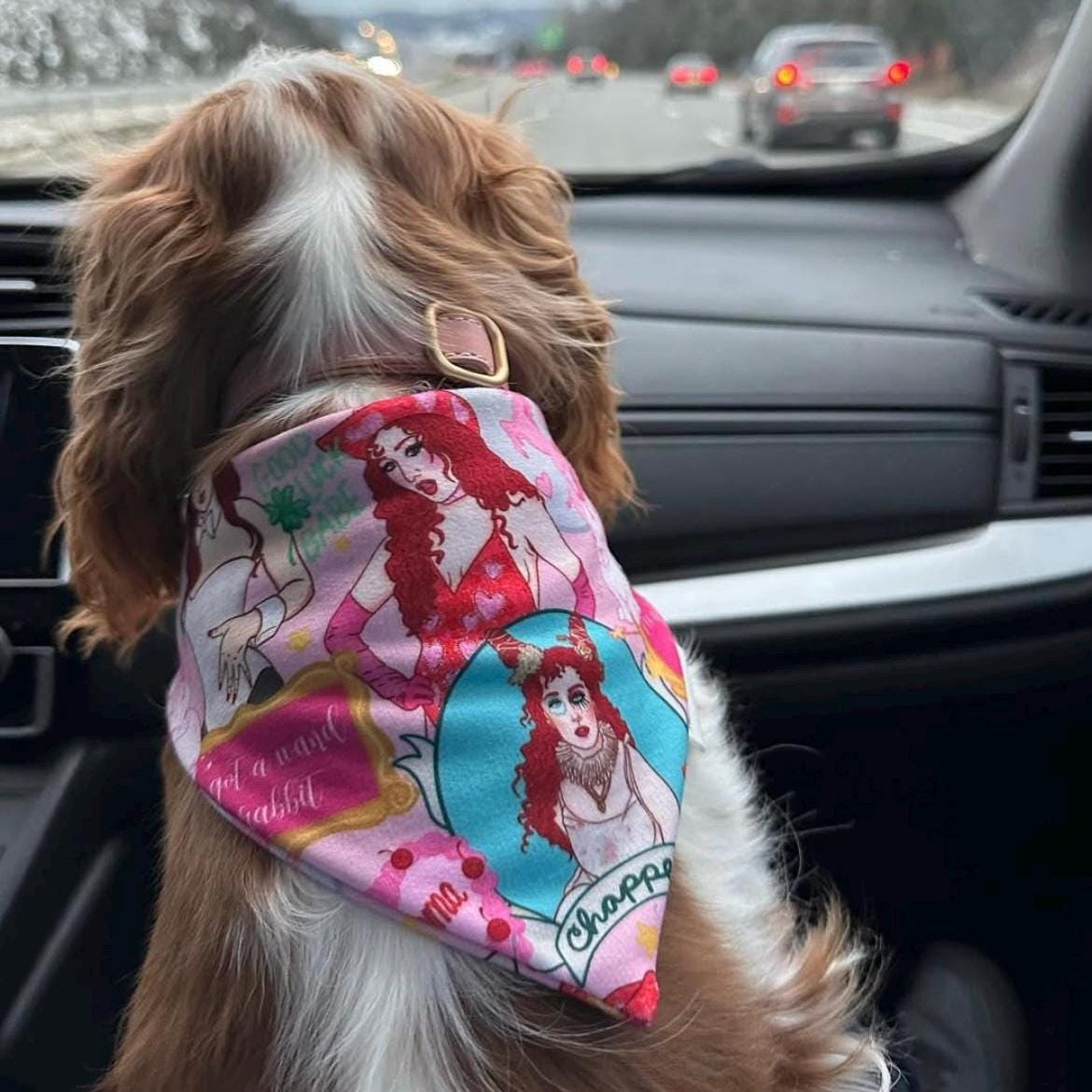 Your Favorite Artist Bandana