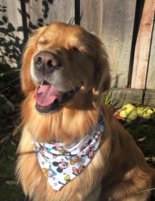 Mama’s Boy Bandana