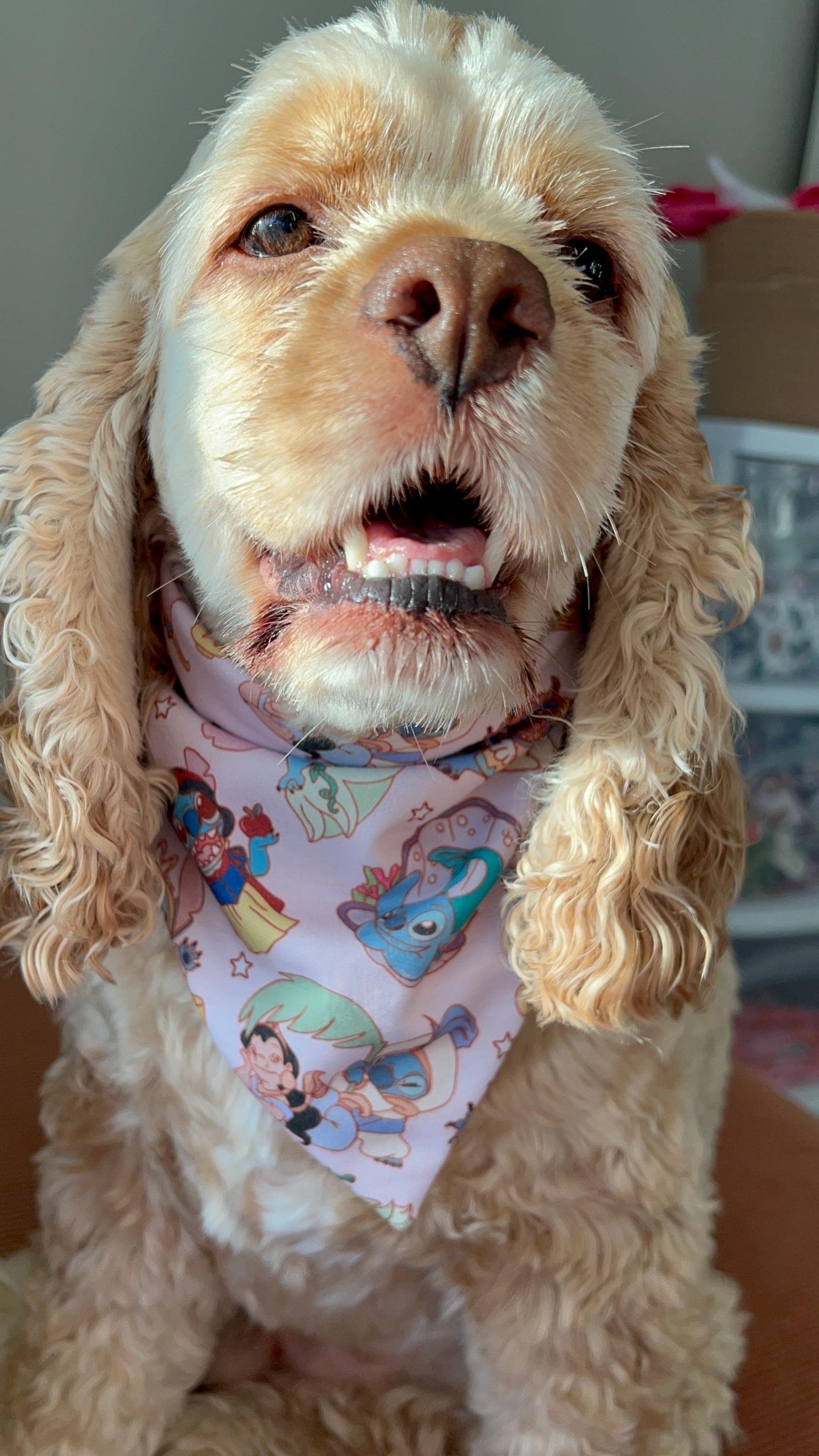 Royal Pain Bandana