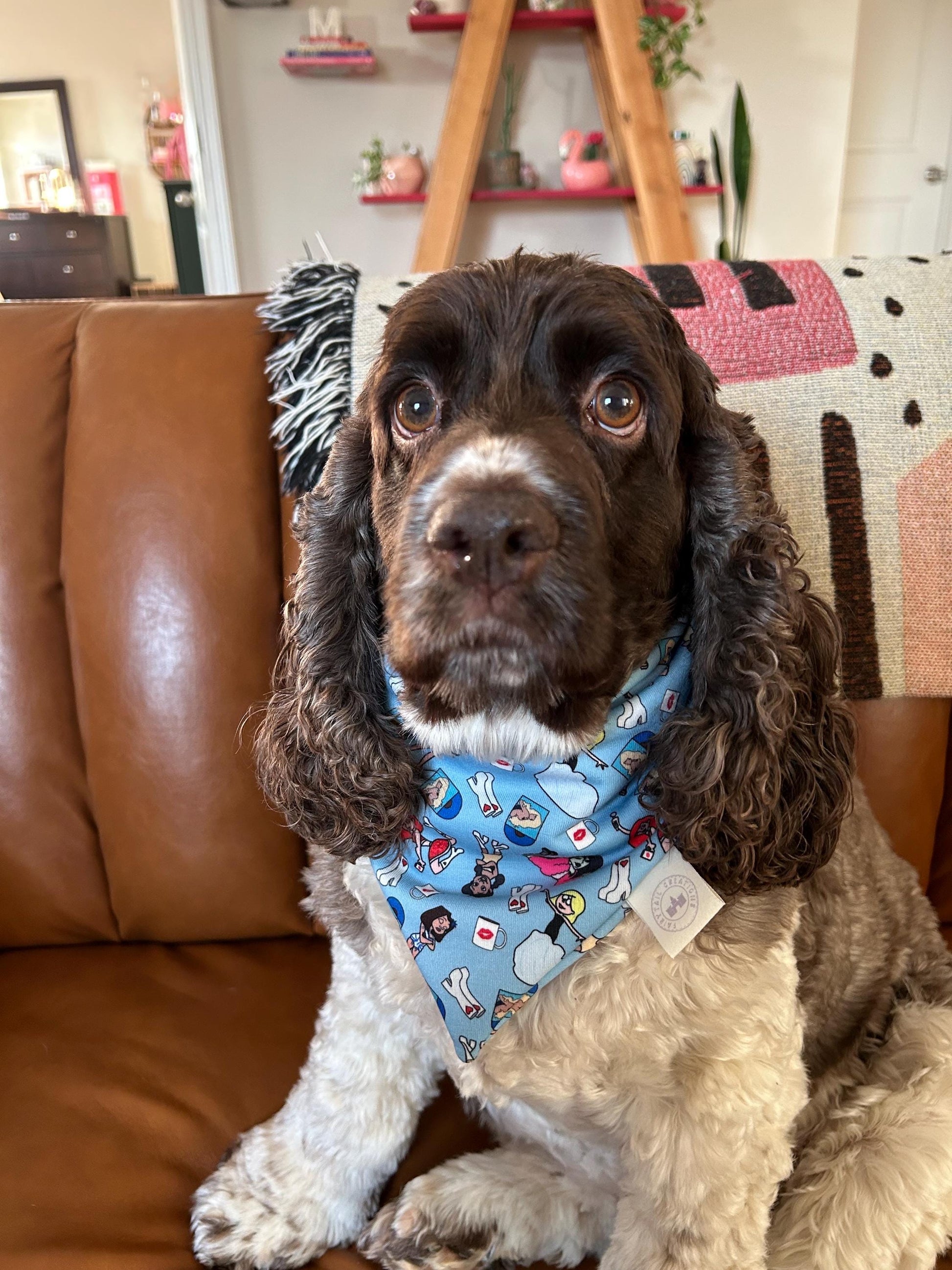 Brina’s Babes Bandana