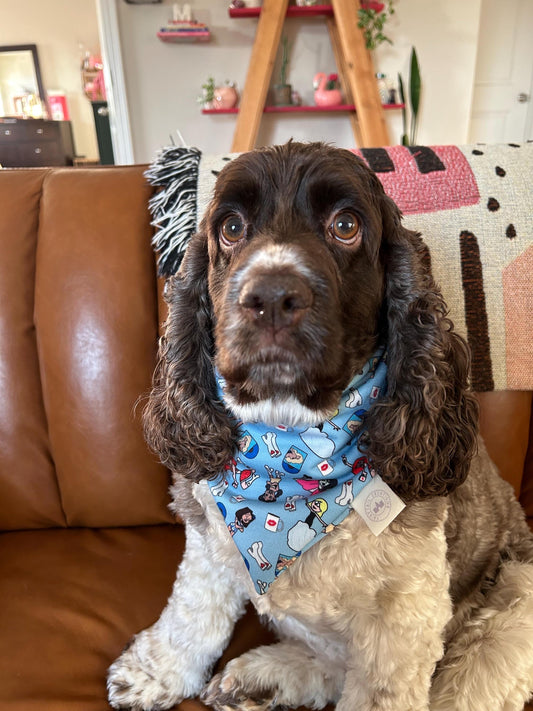 Brina’s Babes Bandana
