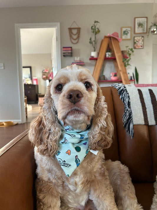 The Perry Bandana