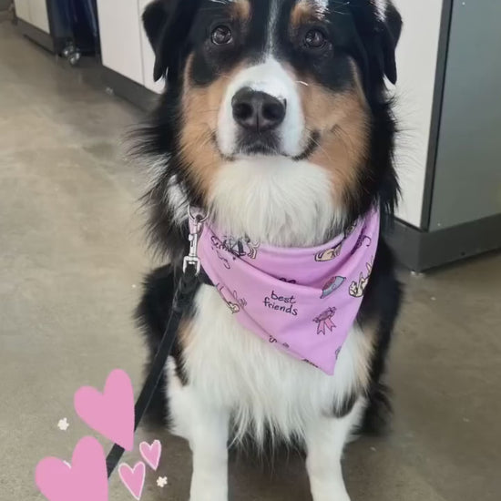 Service Dog Bandana