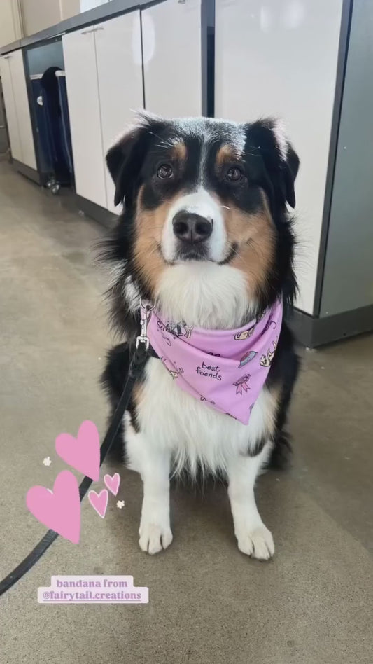 Service Dog Bandana